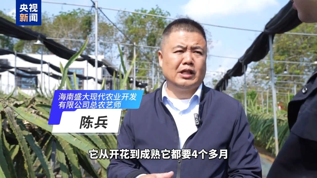 
北京朝阳医院黄牛代挂号电话票贩子号贩子网上预约挂号,住院检查加快,博鳌有新知丨黄晶果、牛奶果……来“世界热带水果之窗”品尝水果盛宴！
