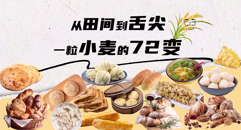 
北京佑安医院黄牛代挂号电话票贩子号贩子网上预约挂号,住院检查加快,【大国粮策】从田间到舌尖，一粒小麦的“72变”