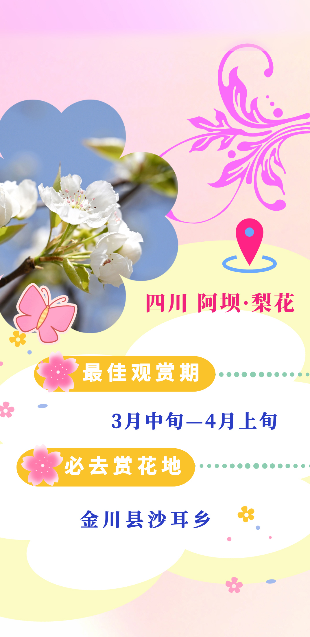 
浙江大学儿童医院黄牛代挂号电话票贩子号贩子网上预约挂号,住院检查加快,乐享春日，这本赏花指南快了解