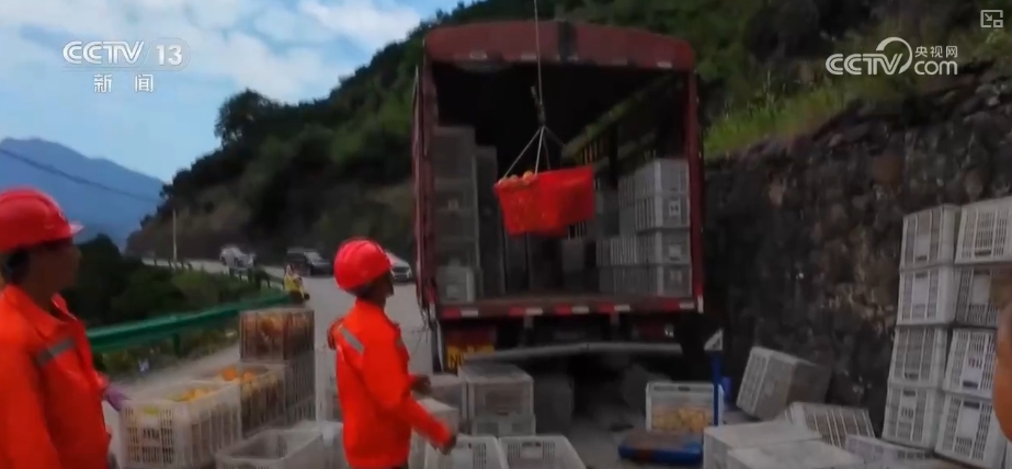 
江苏省中医院黄牛代挂号电话票贩子号贩子网上预约挂号,住院检查加快,坐“火车”乘“飞机” 科技赋能脐橙“跑”上公路出山