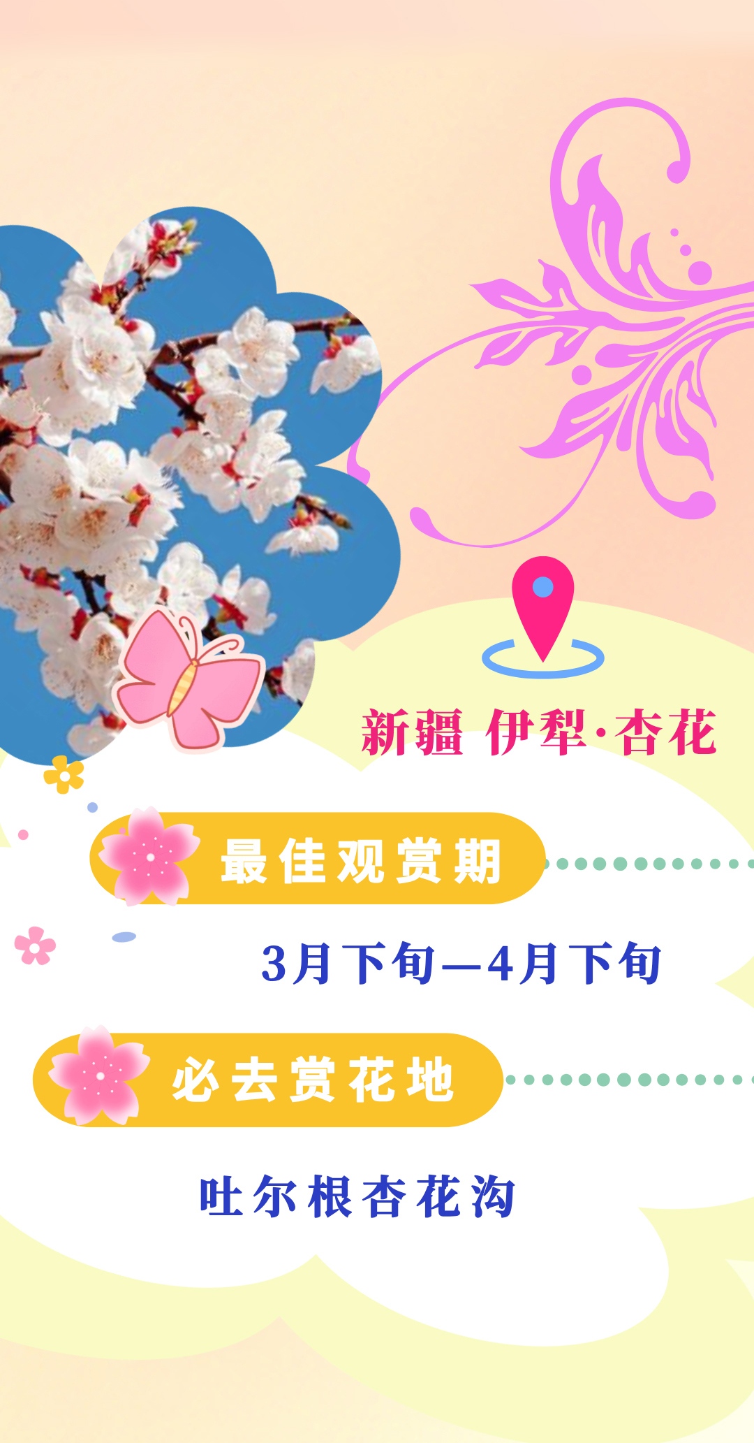 
浙江大学儿童医院黄牛代挂号电话票贩子号贩子网上预约挂号,住院检查加快,乐享春日，这本赏花指南快了解