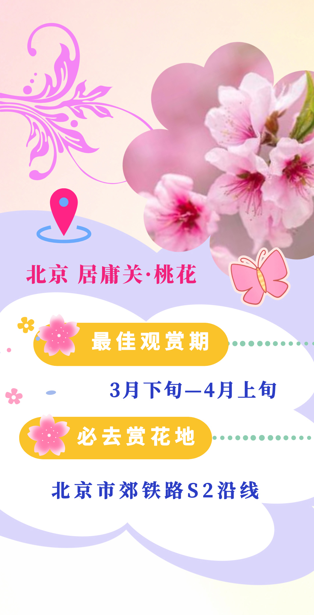 
浙江大学儿童医院黄牛代挂号电话票贩子号贩子网上预约挂号,住院检查加快,乐享春日，这本赏花指南快了解
