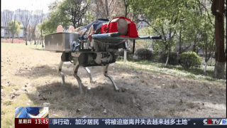 
首都医科院整形外科医院黄牛代挂号电话票贩子号贩子网上预约挂号,住院检查加快,我国自主研制“急救机器人”亮相 长啥样？