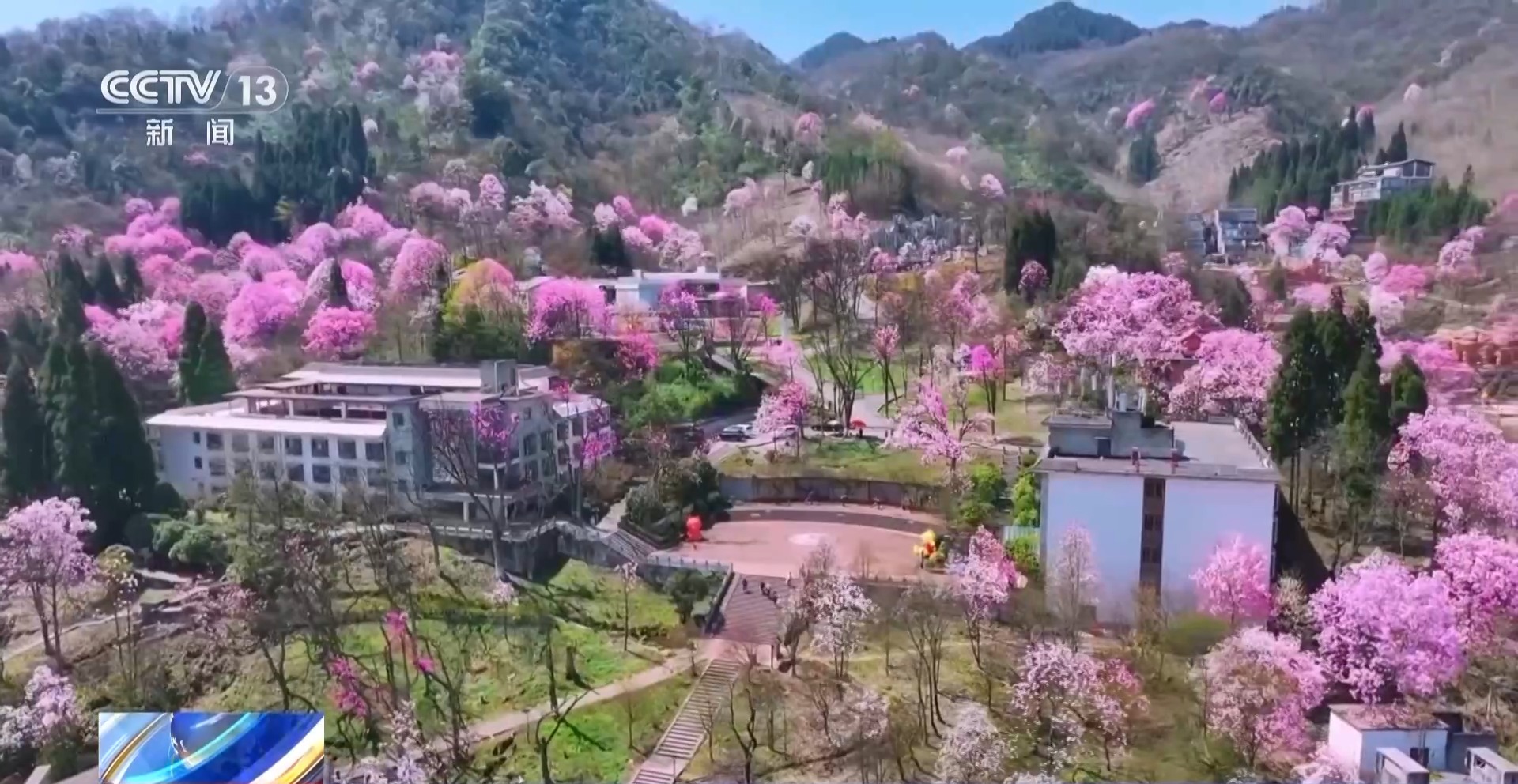 
东部战区总医院黄牛代挂号电话票贩子号贩子网上预约挂号,住院检查加快,全国各地开启赏花季 “春日经济”创造消费新场景