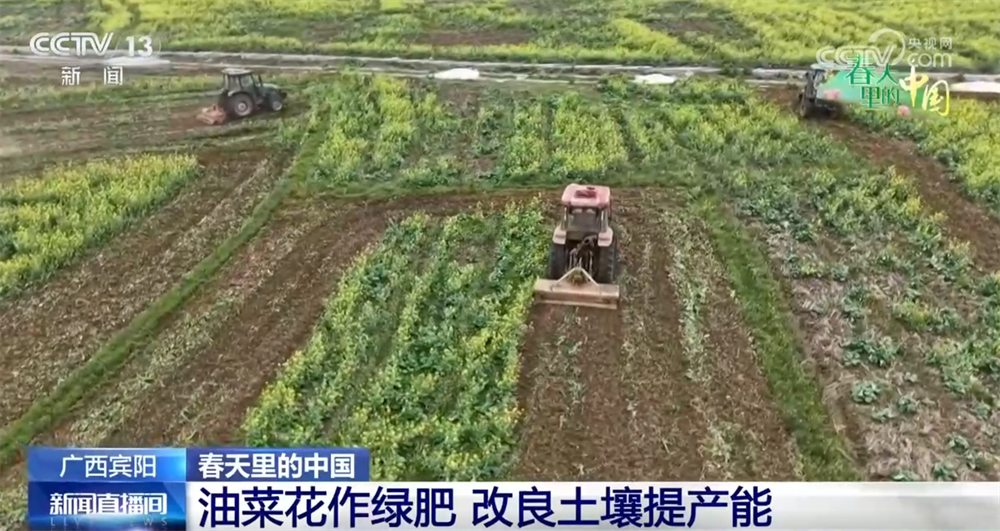 
上海儿科医院黄牛代挂号电话票贩子号贩子网上预约挂号,住院检查加快,现代农机为传统农业注入新动能 万象“耕”新奏响“春耕进行曲”