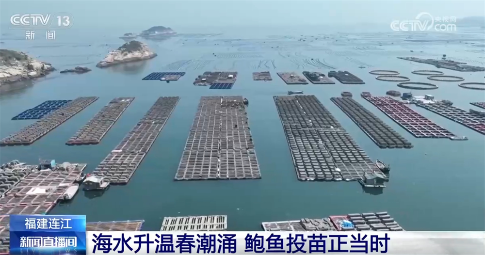 
上海儿科医院黄牛代挂号电话票贩子号贩子网上预约挂号,住院检查加快,现代农机为传统农业注入新动能 万象“耕”新奏响“春耕进行曲”