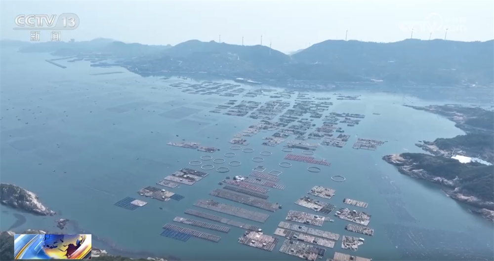 
上海儿科医院黄牛代挂号电话票贩子号贩子网上预约挂号,住院检查加快,现代农机为传统农业注入新动能 万象“耕”新奏响“春耕进行曲”