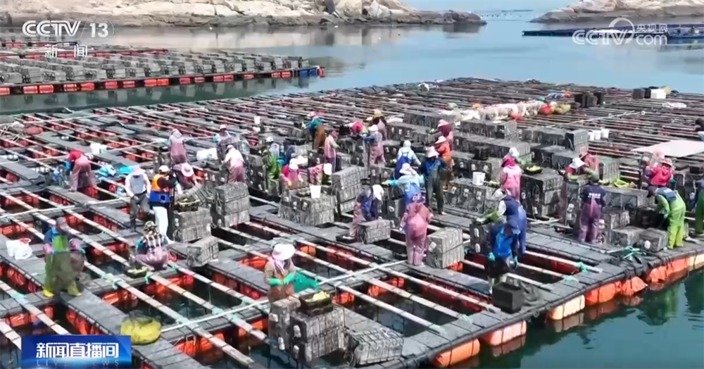 
上海儿科医院黄牛代挂号电话票贩子号贩子网上预约挂号,住院检查加快,现代农机为传统农业注入新动能 万象“耕”新奏响“春耕进行曲”