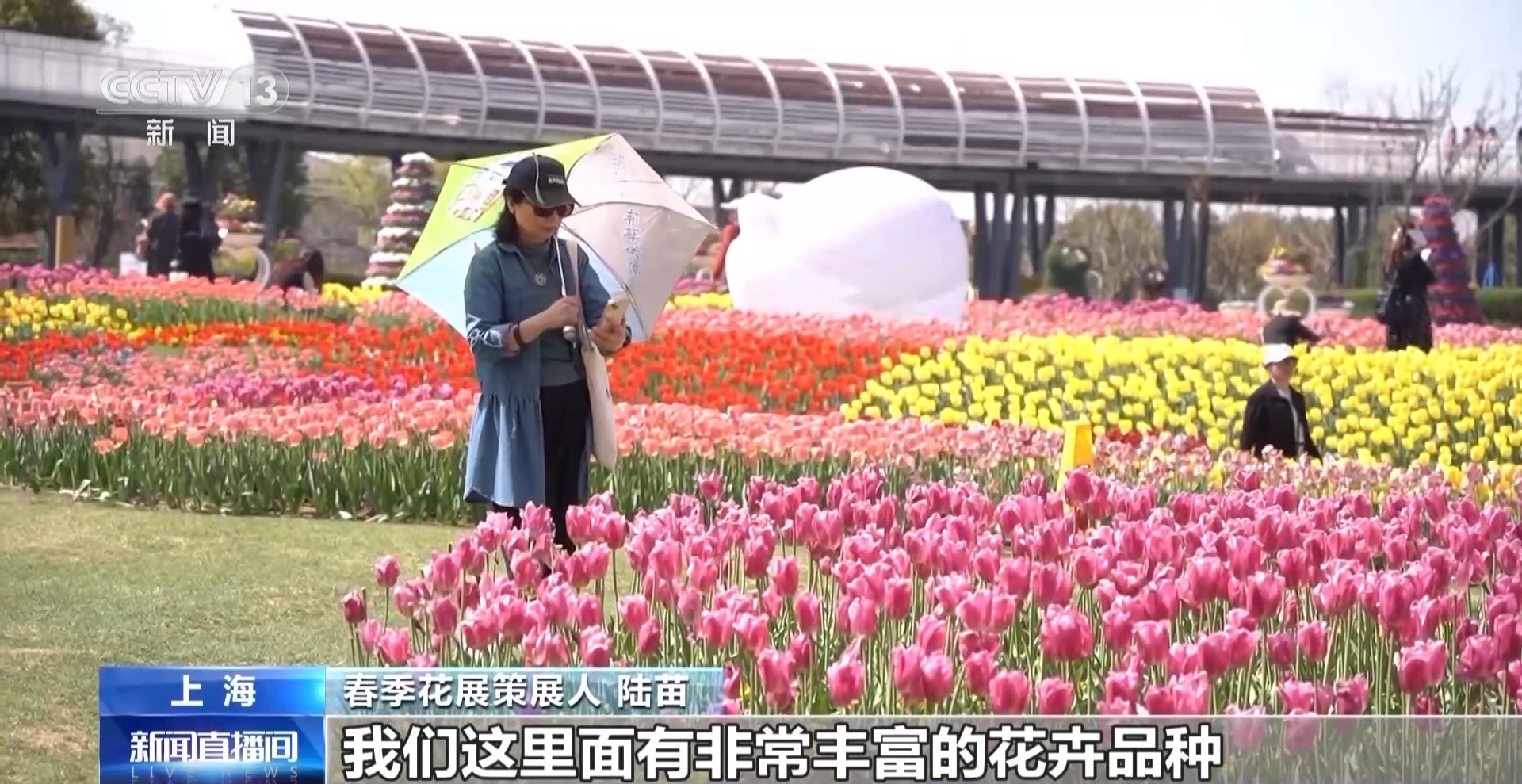
东部战区总医院黄牛代挂号电话票贩子号贩子网上预约挂号,住院检查加快,全国各地开启赏花季 “春日经济”创造消费新场景