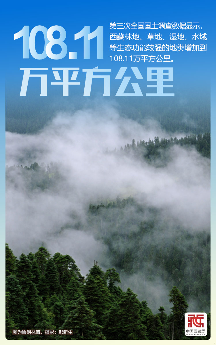 
浙江大学儿童医院黄牛代挂号电话票贩子号贩子网上预约挂号,住院检查加快,海报｜西藏持续打造生态文明高地