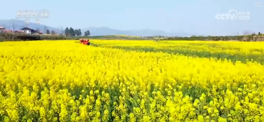 
南京各大医院黄牛代挂号电话票贩子号贩子网上预约挂号,住院检查加快,“农商文旅体”释放多“彩”活力 多样消费激活“春日经济”一池春水