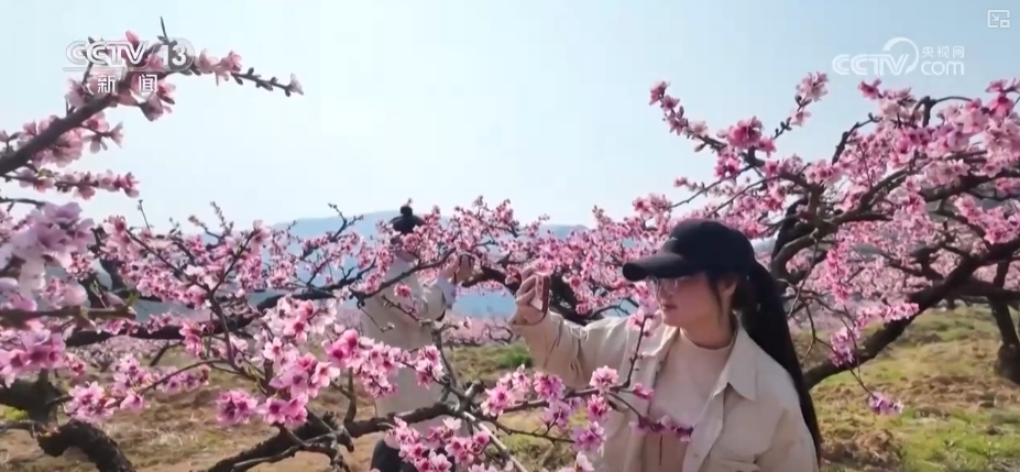
南京各大医院黄牛代挂号电话票贩子号贩子网上预约挂号,住院检查加快,“农商文旅体”释放多“彩”活力 多样消费激活“春日经济”一池春水