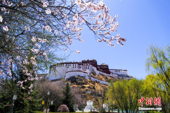 
北京肿瘤医院黄牛代挂号电话票贩子号贩子网上预约挂号,住院检查加快,以发展促人权 西藏经济社会权利保障水平全面提升