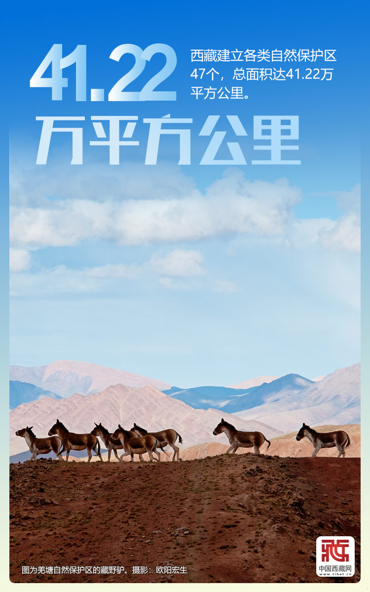
浙江大学儿童医院黄牛代挂号电话票贩子号贩子网上预约挂号,住院检查加快,海报｜西藏持续打造生态文明高地