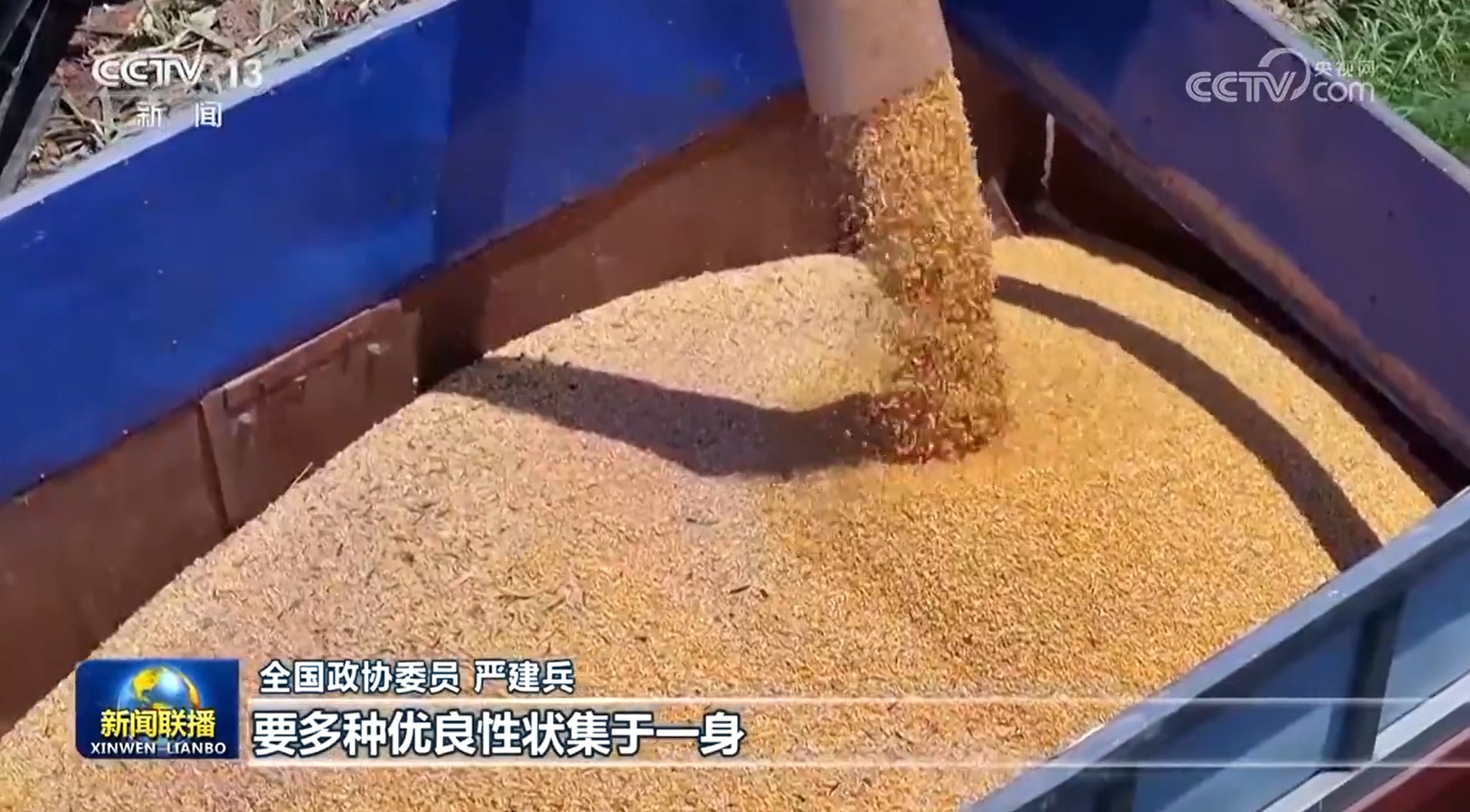 
浙江省肿瘤医院黄牛代挂号电话票贩子号贩子网上预约挂号,住院检查加快,【代表委员履职故事】严建兵：加快种业创新转化 保障国家粮食安全