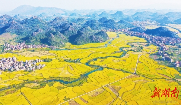 
长春吉大一院黄牛代挂号电话票贩子号贩子网上预约挂号,住院检查加快,中部崛起势正劲 大国挺起“硬脊梁”