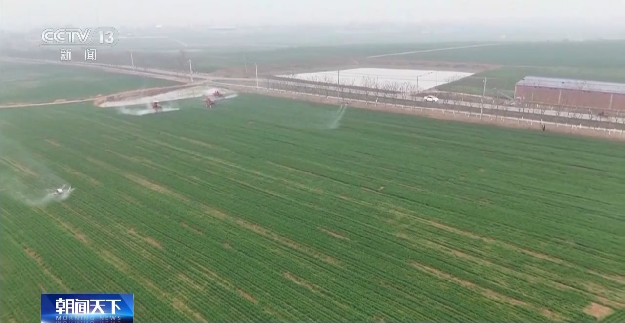 
杭州市富阳中医骨伤医院黄牛代挂号电话票贩子号贩子网上预约挂号,住院检查加快,农机购买享补贴 机械化作业让种地更轻松