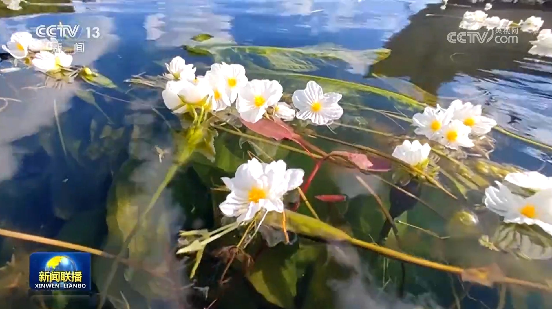 
首都医科大学附属北京朝阳医院黄牛代挂号电话票贩子号贩子网上预约挂号,住院检查加快,【总书记的人民情怀】绿水青山间的幸福