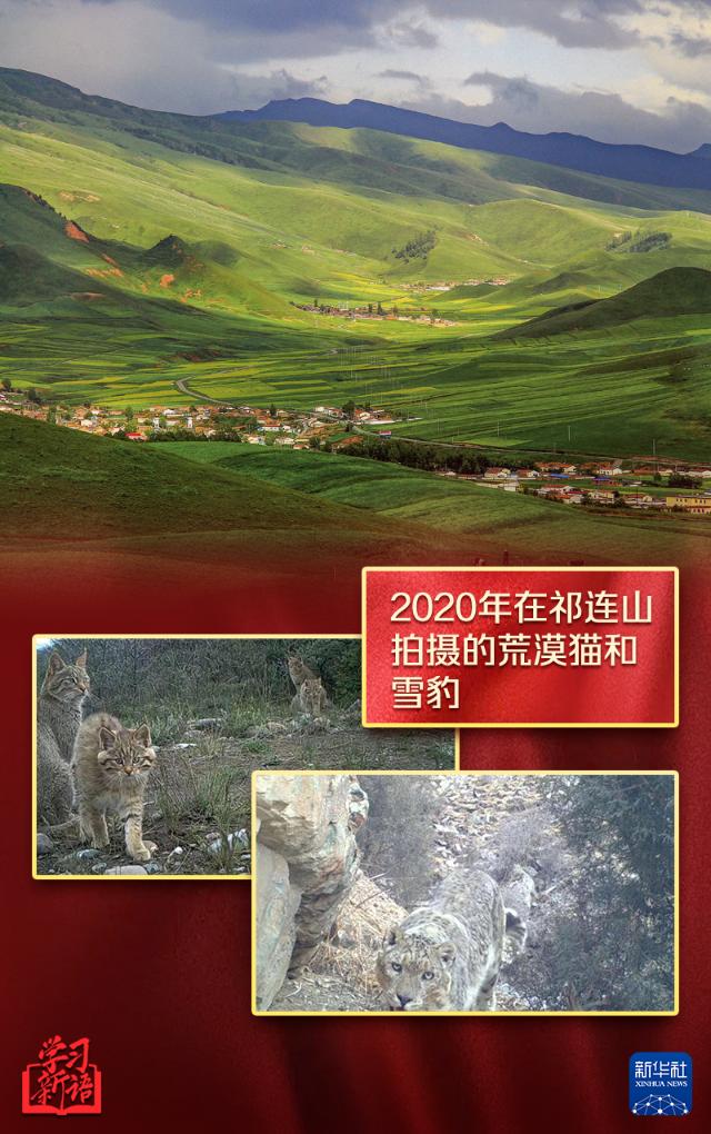 
中国中医科学院广安门医院黄牛代挂号电话票贩子号贩子网上预约挂号,住院检查加快,学习新语｜越来越好