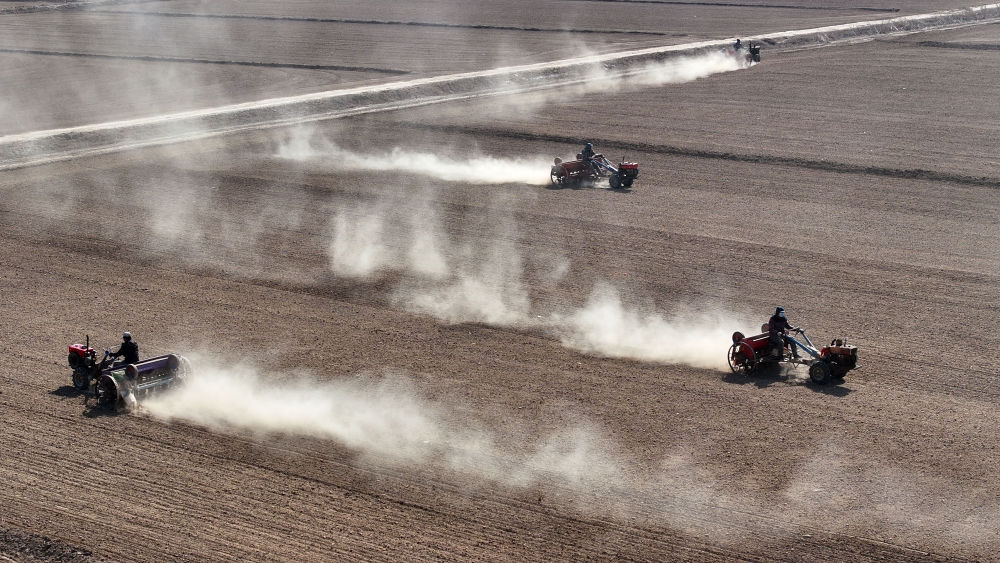 
北京西苑医院黄牛代挂号电话票贩子号贩子网上预约挂号,住院检查加快,人勤春来早 春耕正当时