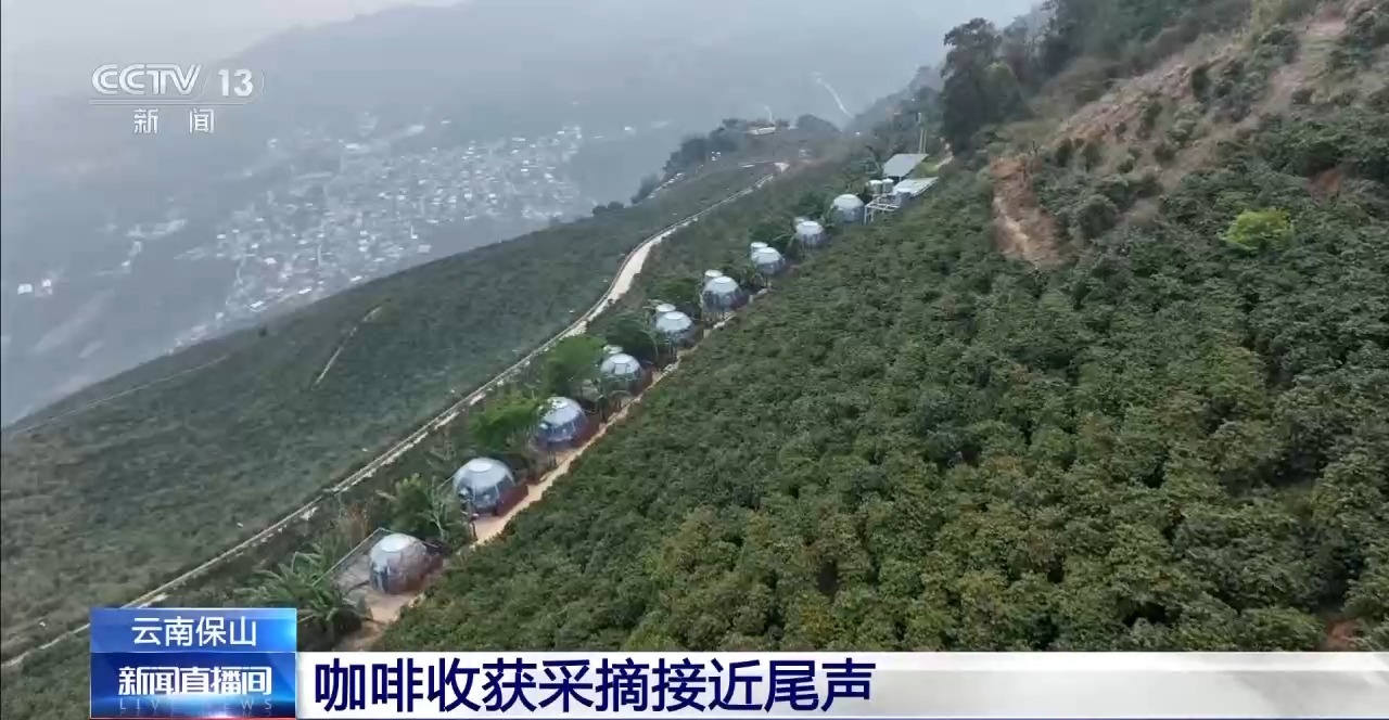 
北京儿童医院黄牛代挂号电话票贩子号贩子网上预约挂号,住院检查加快,“左手咖啡右手茶” 两张产业名片助力云南经济腾飞