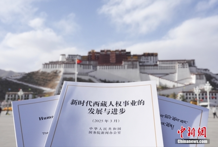 
天津各大医院黄牛代挂号电话票贩子号贩子网上预约挂号,住院检查加快,西藏人权事业跨越发展 人民幸福诠释人权真谛