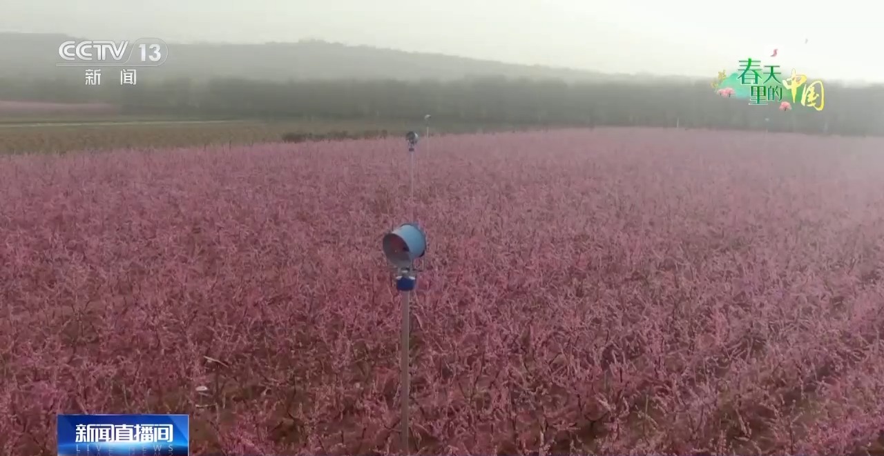 
北京肿瘤医院黄牛代挂号电话票贩子号贩子网上预约挂号,住院检查加快,科学管理助力春耕 各地田间地头热闹迎春