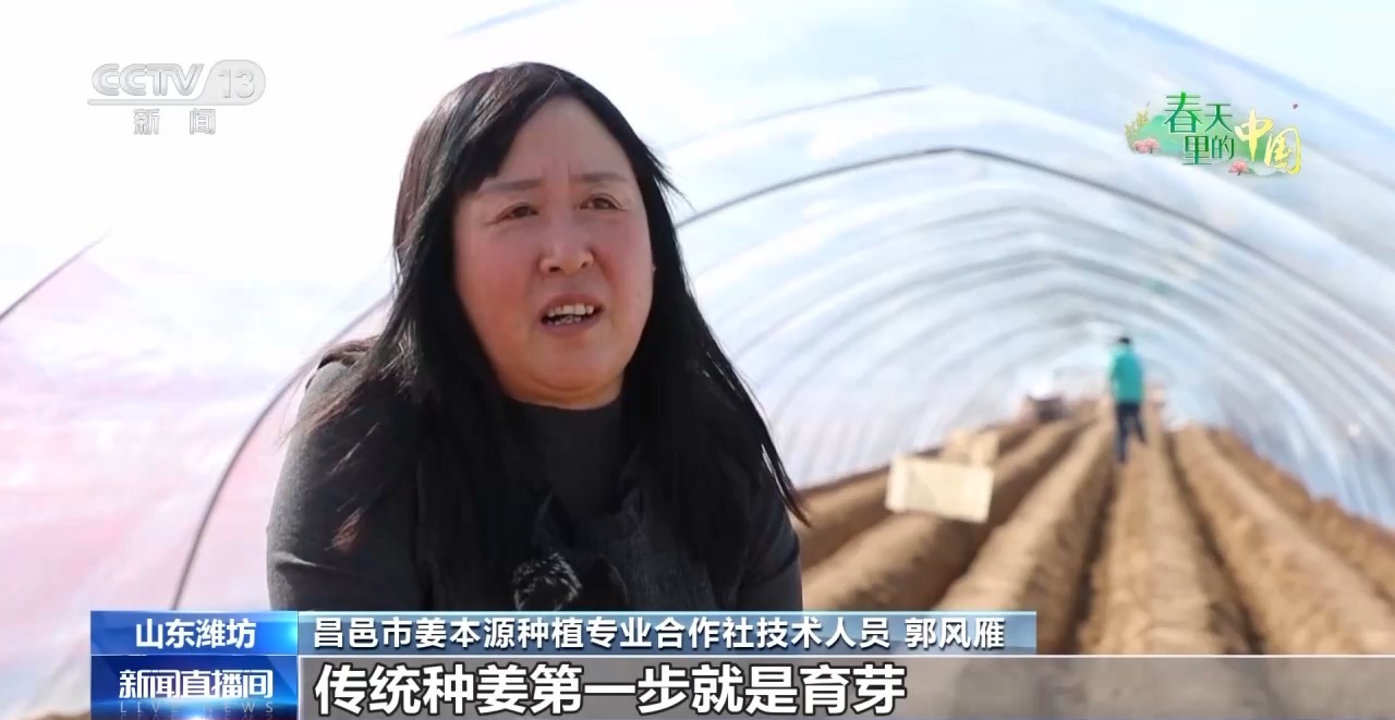 
北京肿瘤医院黄牛代挂号电话票贩子号贩子网上预约挂号,住院检查加快,科学管理助力春耕 各地田间地头热闹迎春