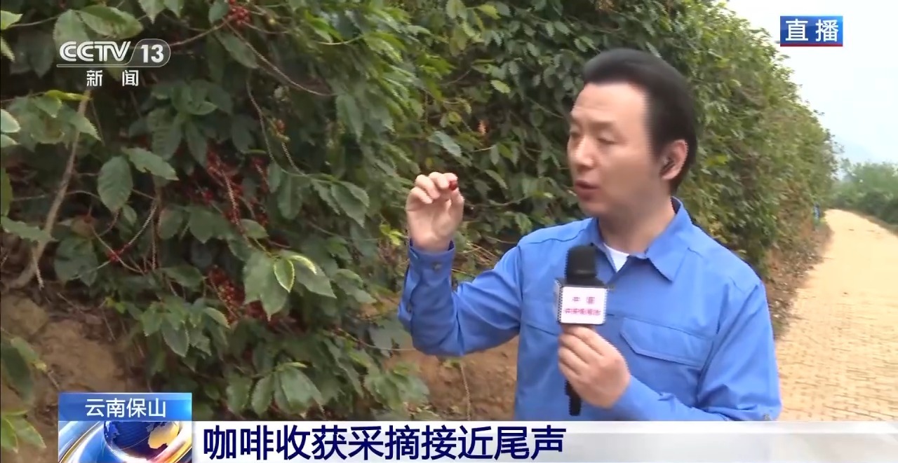 
北京儿童医院黄牛代挂号电话票贩子号贩子网上预约挂号,住院检查加快,“左手咖啡右手茶” 两张产业名片助力云南经济腾飞