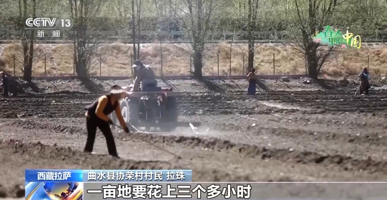 
北京肿瘤医院黄牛代挂号电话票贩子号贩子网上预约挂号,住院检查加快,科学管理助力春耕 各地田间地头热闹迎春