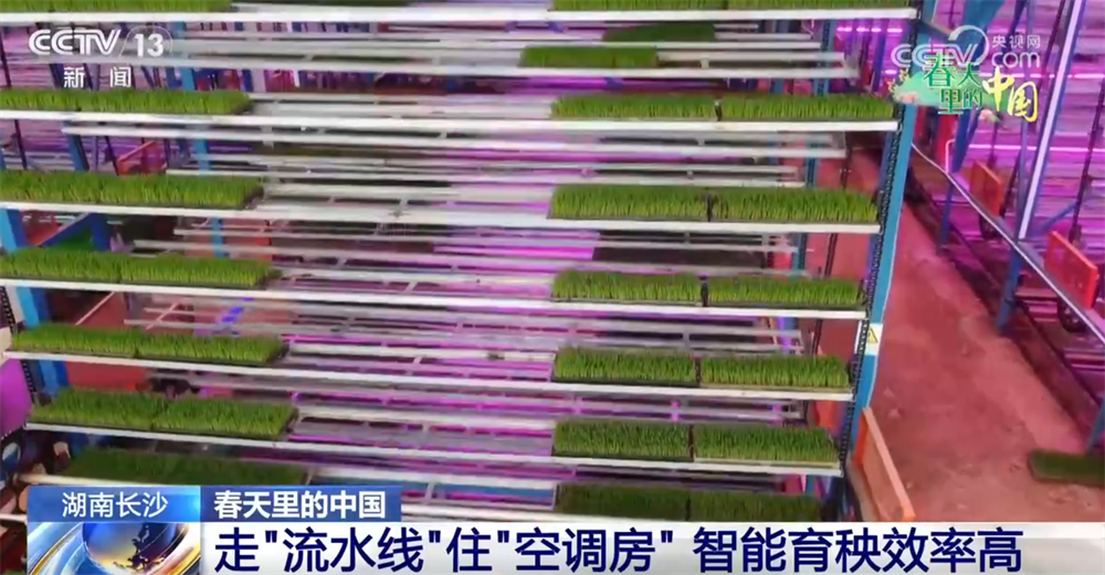 
江苏省中医院黄牛代挂号电话票贩子号贩子网上预约挂号,住院检查加快,智“绘”春耕“新”图景 “赏花经济”为乡村振兴“景”上添“彩”