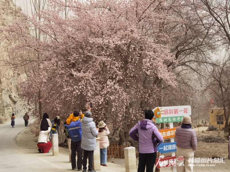 
北京天坛医院黄牛代挂号电话票贩子号贩子网上预约挂号,住院检查加快,新疆是个好地方丨一边告别一边告白 假日新疆奏响春游交响曲