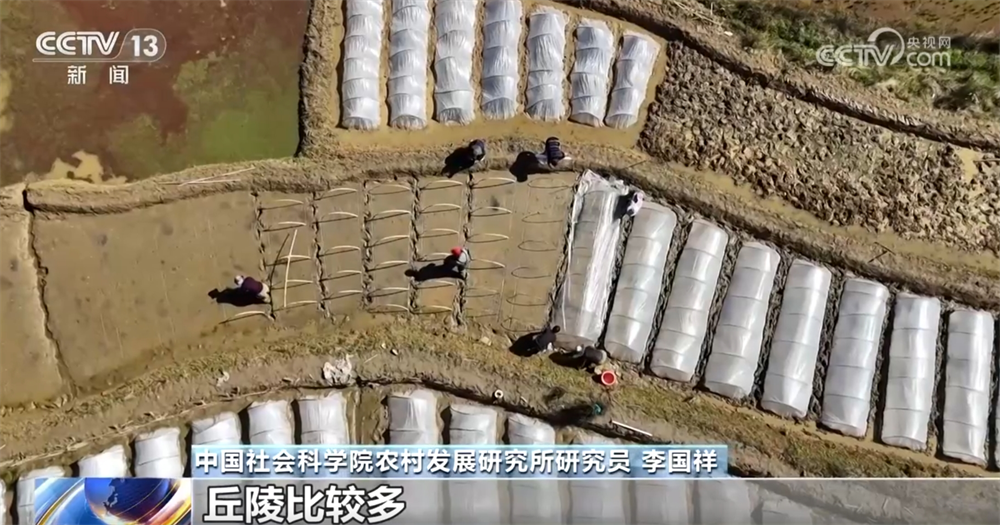 
北大第一医院黄牛代挂号电话票贩子号贩子网上预约挂号,住院检查加快,高标准农田建设“实施方案”有哪些目标和亮点？一文快速了解↓