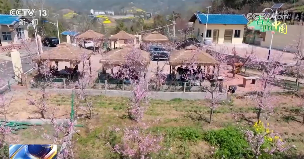 
江苏省中医院黄牛代挂号电话票贩子号贩子网上预约挂号,住院检查加快,智“绘”春耕“新”图景 “赏花经济”为乡村振兴“景”上添“彩”
