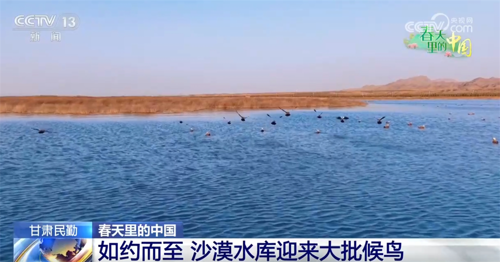 
江苏省中医院黄牛代挂号电话票贩子号贩子网上预约挂号,住院检查加快,智“绘”春耕“新”图景 “赏花经济”为乡村振兴“景”上添“彩”