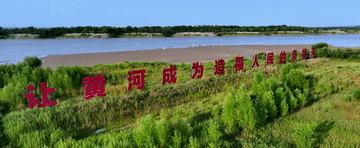 
浙江大学儿童医院黄牛代挂号电话票贩子号贩子网上预约挂号,住院检查加快,总书记的春天之约｜让黄河成为造福人民的幸福河