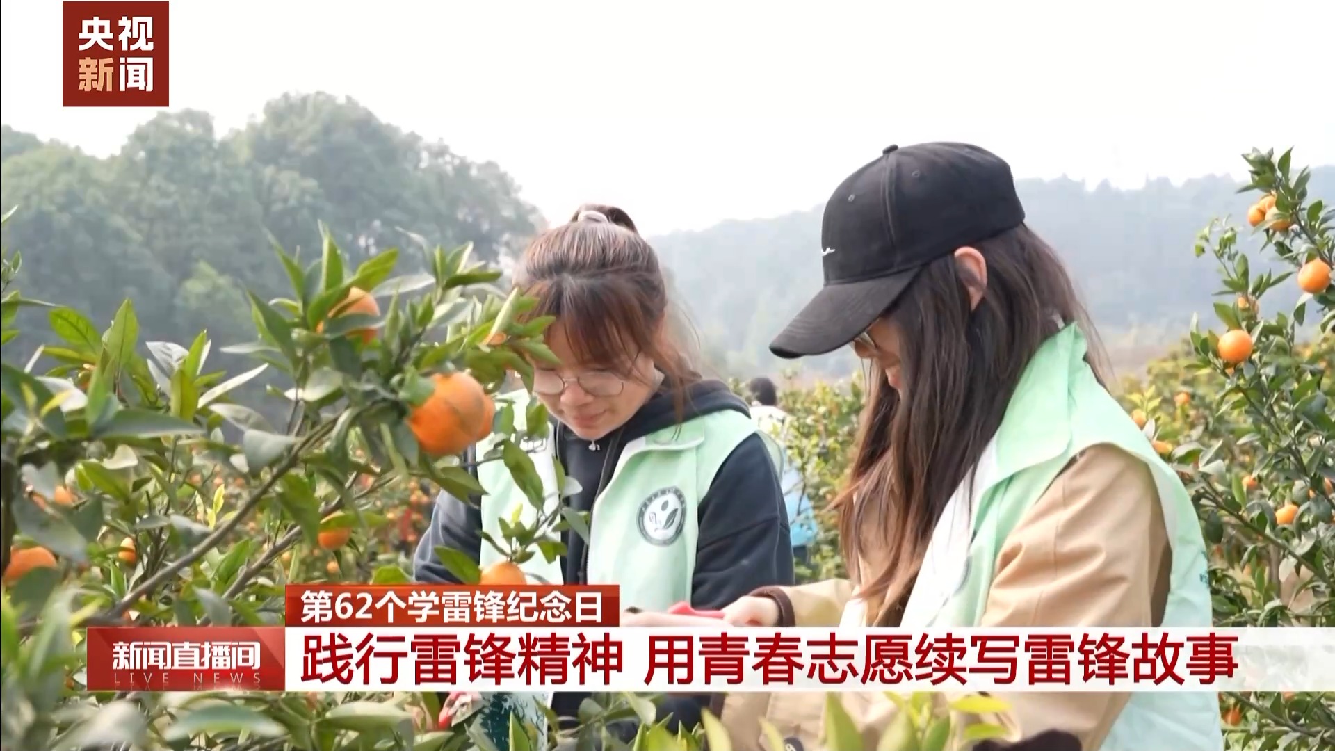 
浙江中医药第二医院黄牛代挂号电话票贩子号贩子网上预约挂号,住院检查加快,“学雷锋也是一个双向奔赴的过程” 他们用青春志愿续写雷锋故事