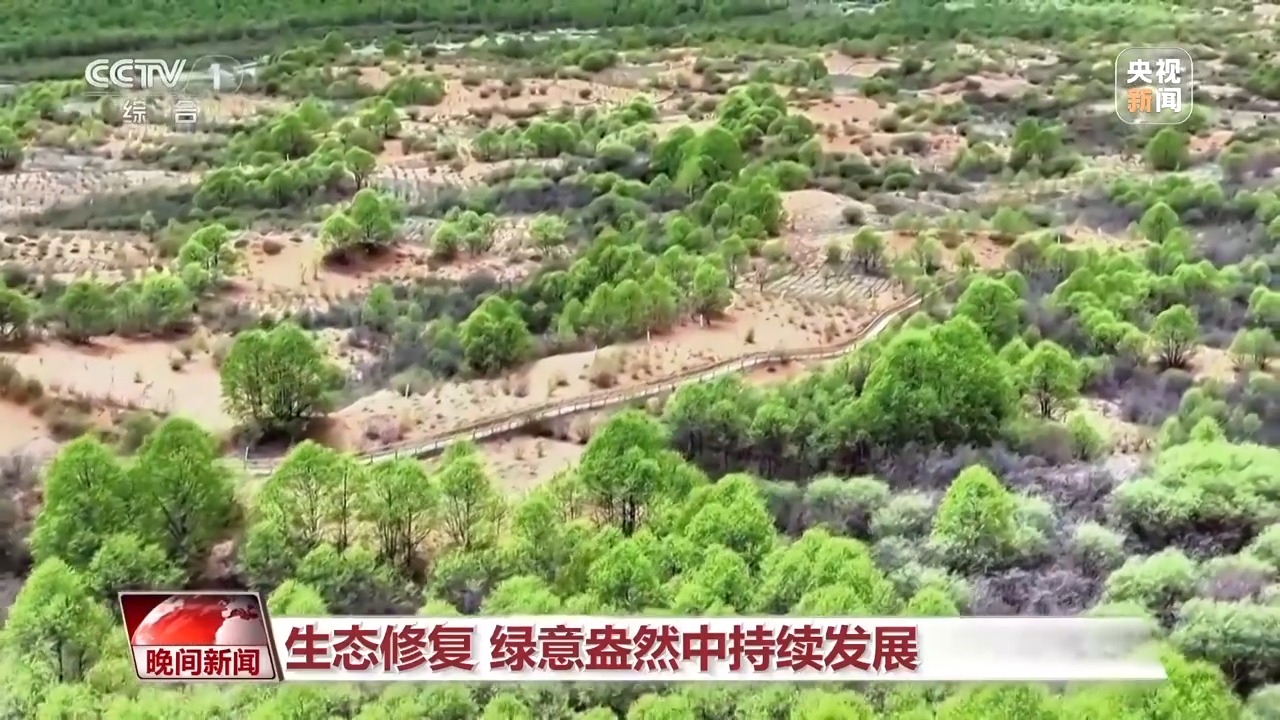 
广州各大医院黄牛代挂号电话票贩子号贩子网上预约挂号,住院检查加快,多维度 很亮眼！我国绿色发展交答卷