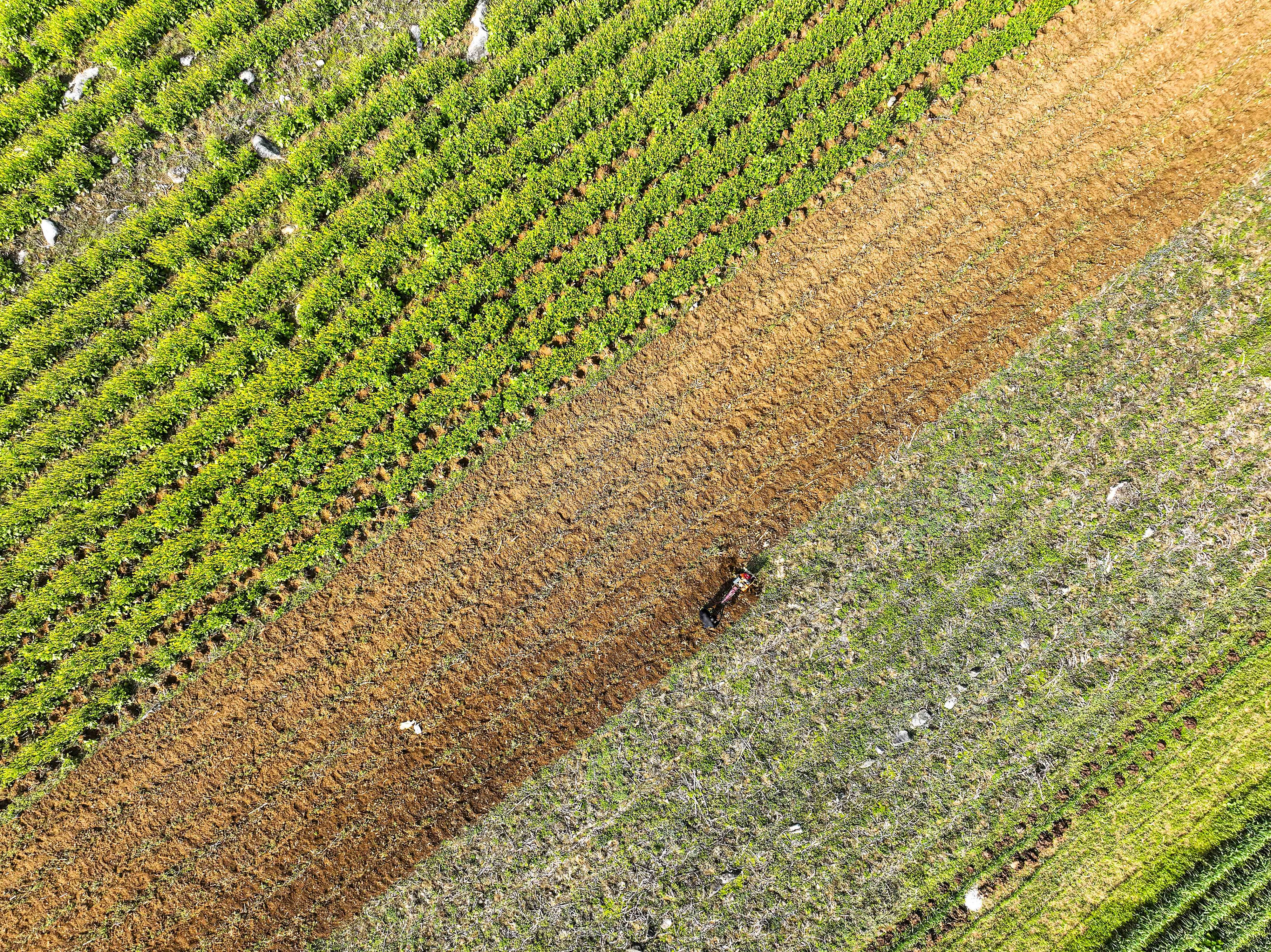 
浙江省中医院黄牛代挂号电话票贩子号贩子网上预约挂号,住院检查加快,热解读·见微｜细算“玉米账”与点赞DeepSeek背后的启示