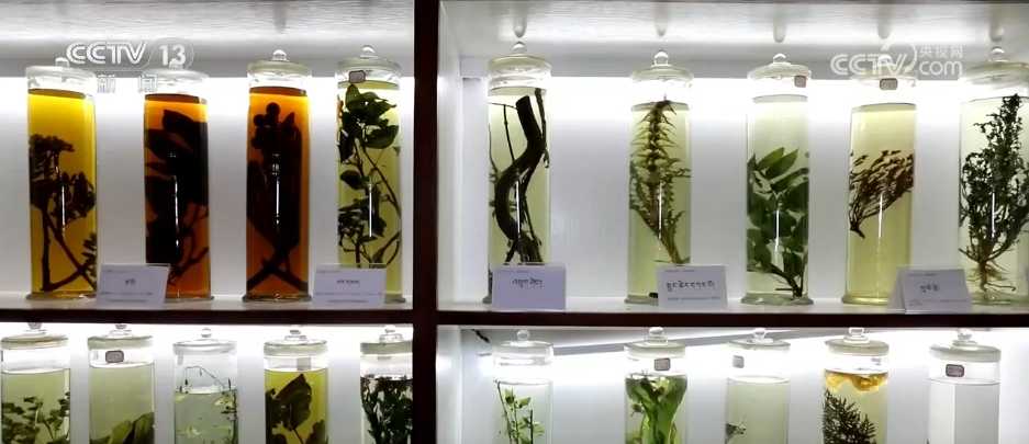 北医六院黄牛代挂号电话票贩子号贩子网上预约挂号,住院检查加快,我从基层来 | 明吉措姆:让藏医药焕发新时代光彩 更好惠及百姓