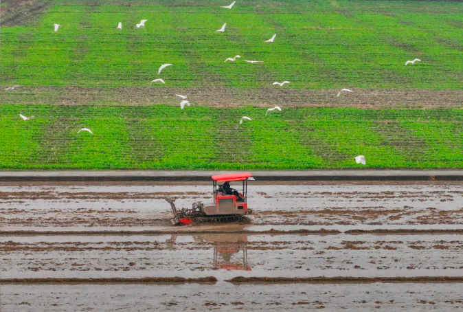 
广州各大医院黄牛代挂号电话票贩子号贩子网上预约挂号,住院检查加快,“生态富”是何种境界的富