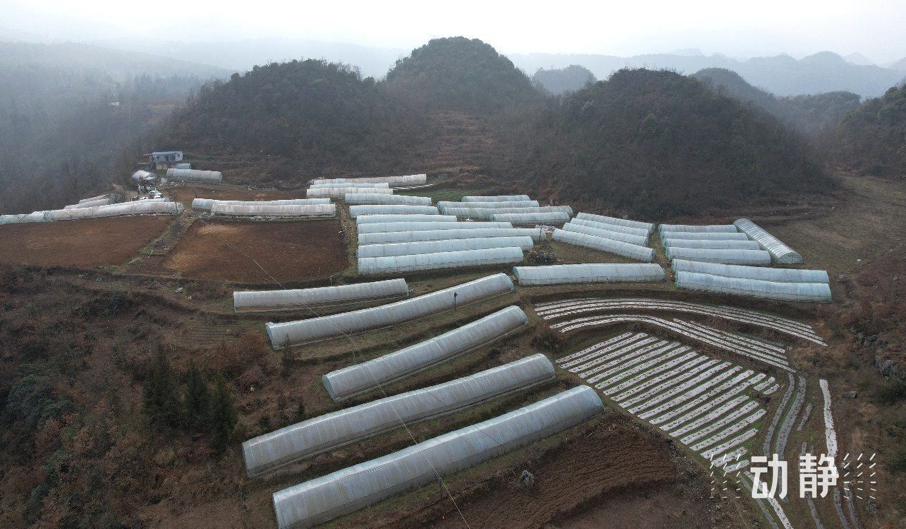 
南京金陵医院黄牛代挂号电话票贩子号贩子网上预约挂号,住院检查加快,“村”潮涌动处 振兴正当时
