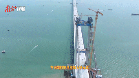 
江苏省中医院黄煌的号黄牛代挂号电话票贩子号贩子网上预约挂号,住院检查加快,为了“串门”更方便，你知道湾区人有多拼吗？