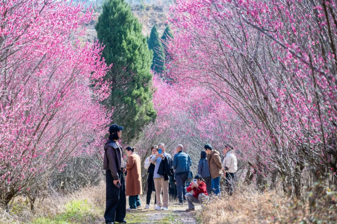 
广州各大医院黄牛代挂号电话票贩子号贩子网上预约挂号,住院检查加快,“生态富”是何种境界的富