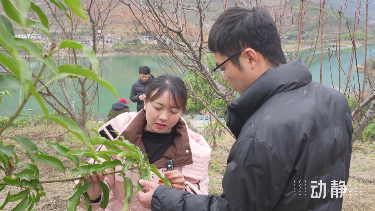 
南京金陵医院黄牛代挂号电话票贩子号贩子网上预约挂号,住院检查加快,“村”潮涌动处 振兴正当时