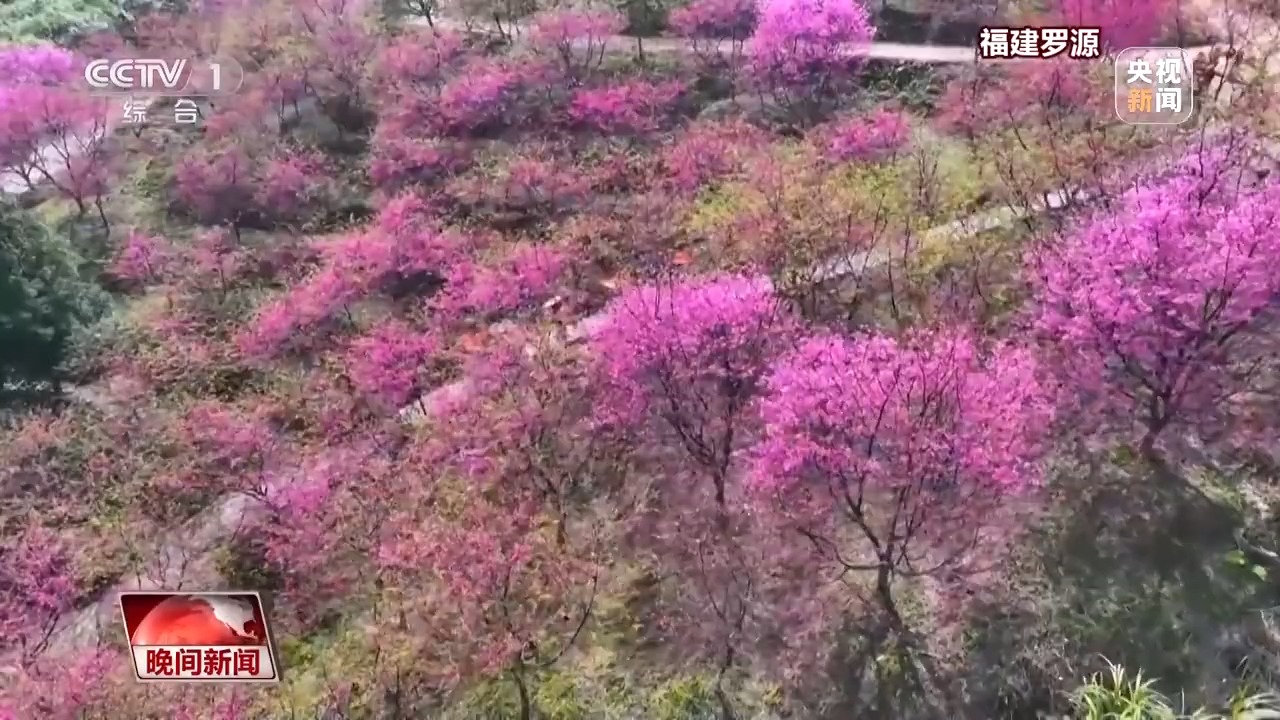 
回龙观医院黄牛代挂号电话票贩子号贩子网上预约挂号,住院检查加快,“花式派对”开启！玉兰怒放、冰凌破土，火锅走进油菜花田