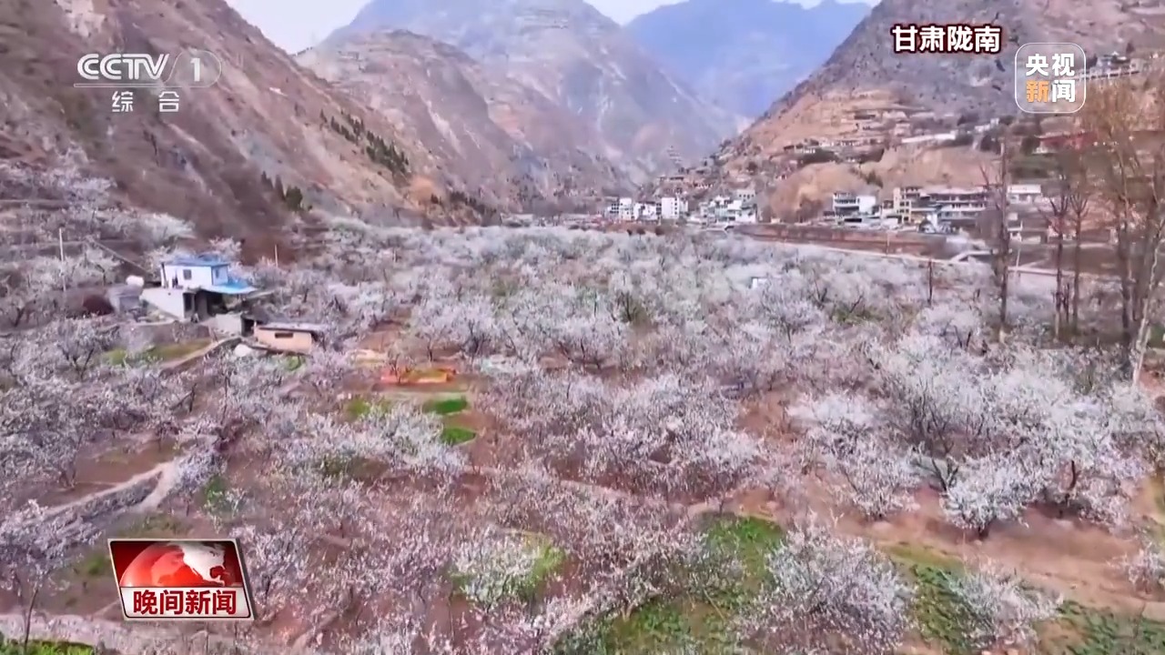 
回龙观医院黄牛代挂号电话票贩子号贩子网上预约挂号,住院检查加快,“花式派对”开启！玉兰怒放、冰凌破土，火锅走进油菜花田