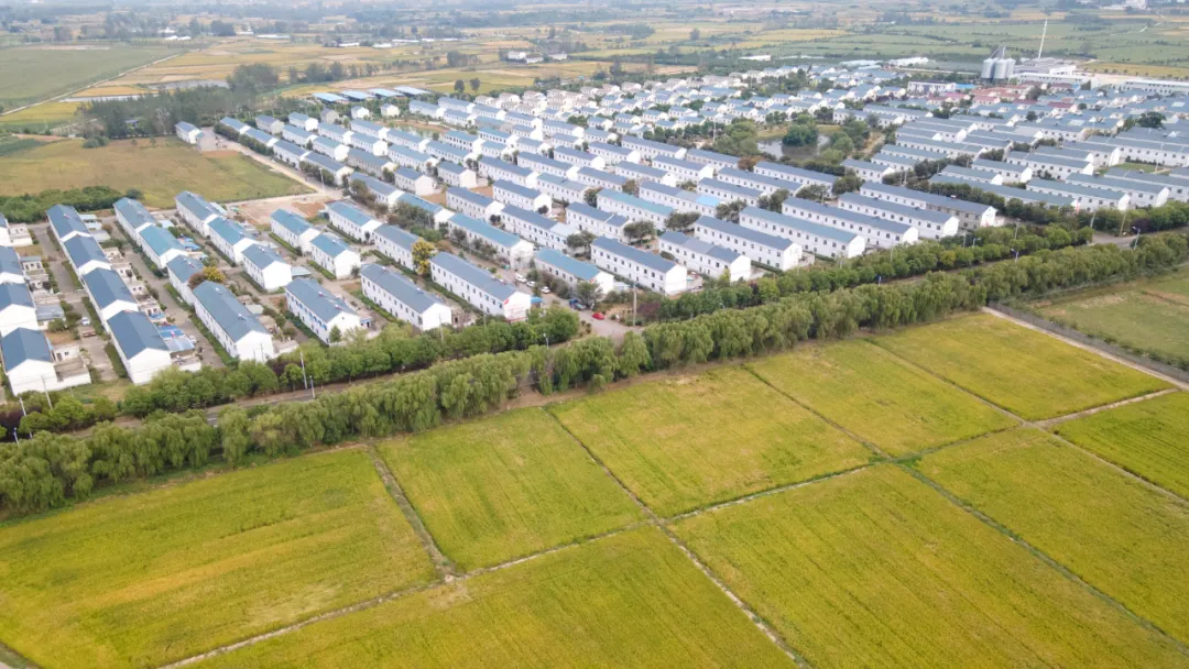 
北京大学第六医院黄牛代挂号电话票贩子号贩子网上预约挂号,住院检查加快,两会访谈 | 进一步深化农村改革