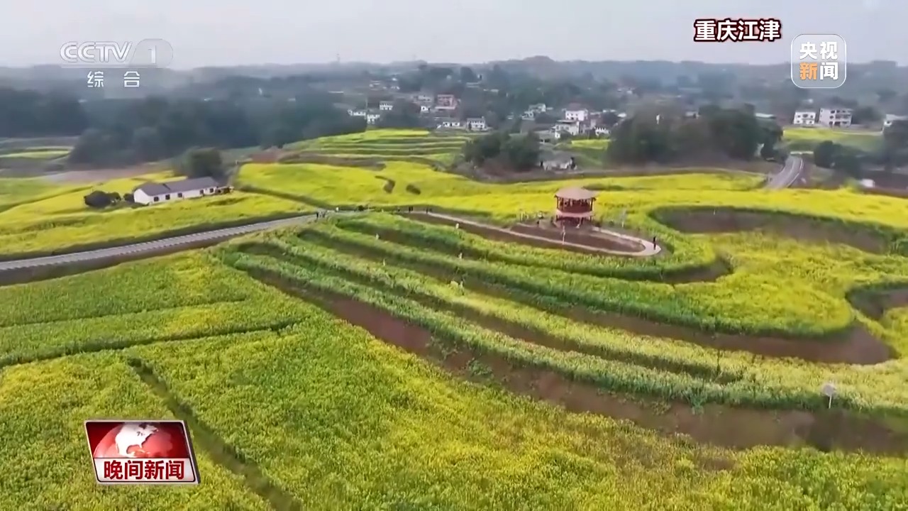 
回龙观医院黄牛代挂号电话票贩子号贩子网上预约挂号,住院检查加快,“花式派对”开启！玉兰怒放、冰凌破土，火锅走进油菜花田
