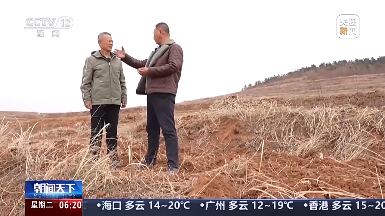 
浙江第二医院黄牛代挂号电话票贩子号贩子网上预约挂号,住院检查加快,丘陵薄地如何提单产？平原沙地怎么多打粮？春耕威海有新招